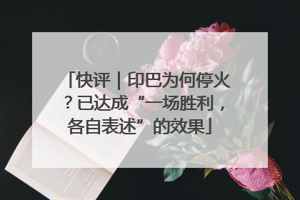 快评｜印巴为何停火？已达成“一场胜利，各自表述”的效果