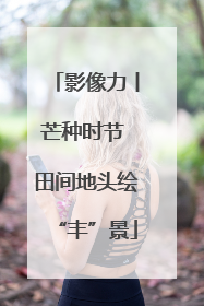 影像力丨芒种时节 田间地头绘“丰”景