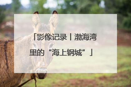 影像记录丨渤海湾里的“海上钢城”