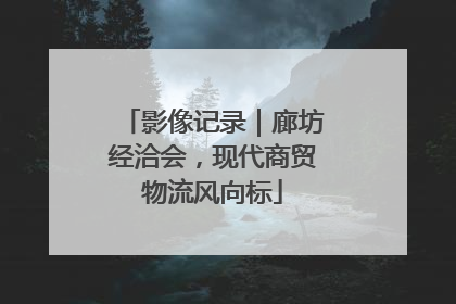 影像记录｜廊坊经洽会，现代商贸物流风向标