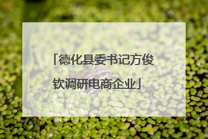 德化县委书记方俊钦调研电商企业