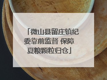 微山县留庄镇纪委靠前监督 保障夏粮颗粒归仓