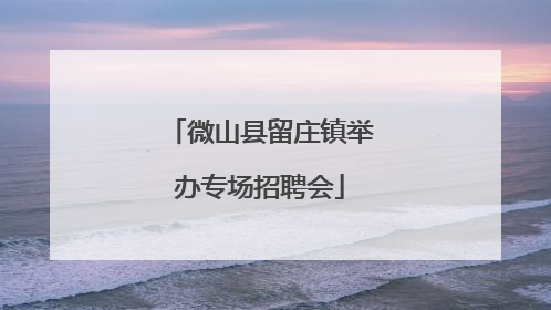 微山县留庄镇举办专场招聘会