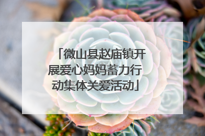 微山县赵庙镇开展爱心妈妈蓄力行动集体关爱活动