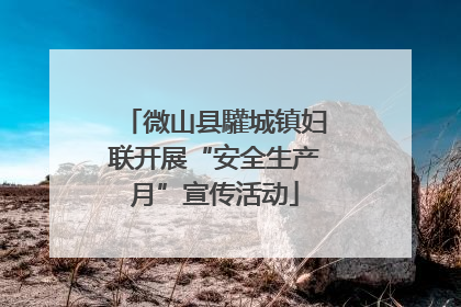 微山县驩城镇妇联开展“安全生产月”宣传活动