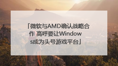 微软与AMD确认战略合作 高呼要让Windows成为头号游戏平台