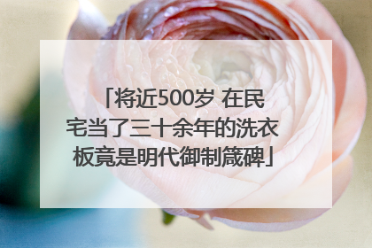 将近500岁 在民宅当了三十余年的洗衣板竟是明代御制箴碑