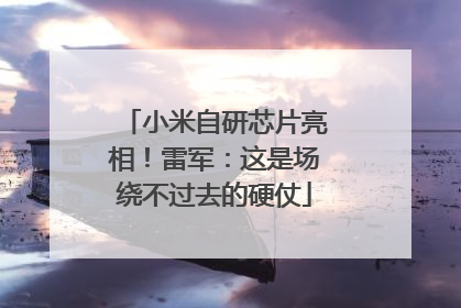 小米自研芯片亮相！雷军：这是场绕不过去的硬仗