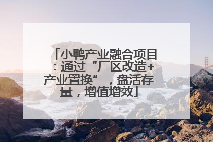 小鸭产业融合项目：通过“厂区改造+产业置换”，盘活存量，增值增效