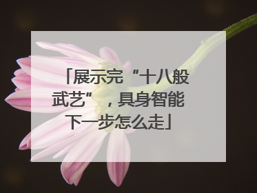 展示完“十八般武艺”，具身智能下一步怎么走