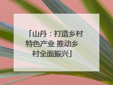 山丹：打造乡村特色产业 推动乡村全面振兴