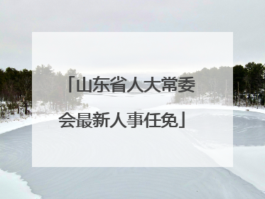 山东省人大常委会最新人事任免