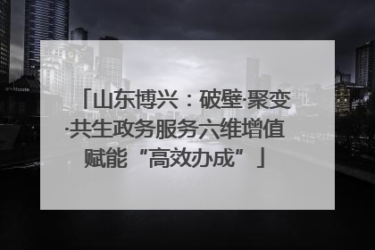 山东博兴：破壁·聚变·共生政务服务六维增值赋能“高效办成”