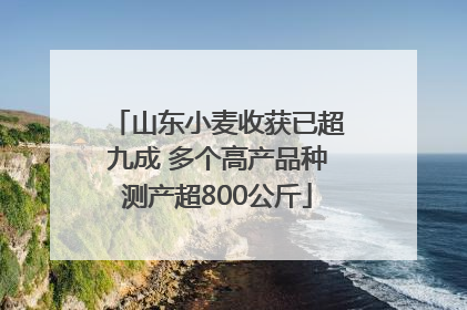 山东小麦收获已超九成 多个高产品种测产超800公斤
