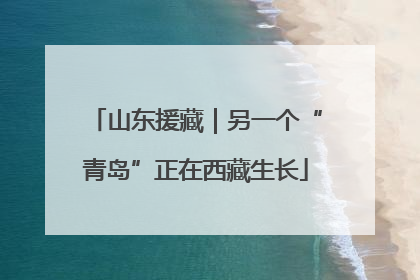 山东援藏｜另一个“青岛”正在西藏生长