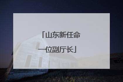 山东新任命一位副厅长