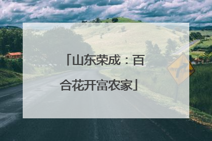 山东荣成：百合花开富农家