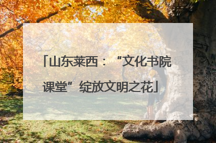 山东莱西：“文化书院课堂”绽放文明之花