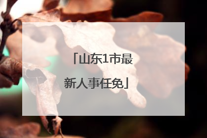 山东1市最新人事任免