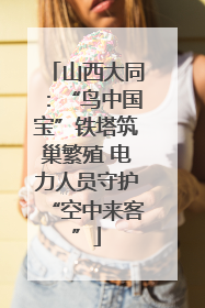 山西大同：“鸟中国宝”铁塔筑巢繁殖 电力人员守护“空中来客”