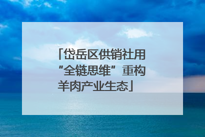 岱岳区供销社用“全链思维”重构羊肉产业生态