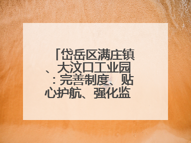 岱岳区满庄镇、大汶口工业园：完善制度、贴心护航、强化监管，打造优质营商“强磁场”