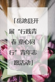 岳池县开展“行践青春 童心同行”青年志愿活动