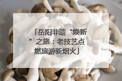 岳阳非遗“焕新”之旅：老技艺点燃旅游新烟火