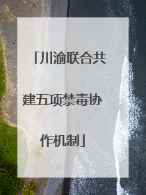 川渝联合共建五项禁毒协作机制