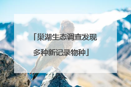 巢湖生态调查发现多种新记录物种