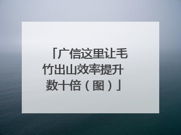 广信这里让毛竹出山效率提升数十倍（图）