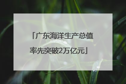 广东海洋生产总值率先突破2万亿元