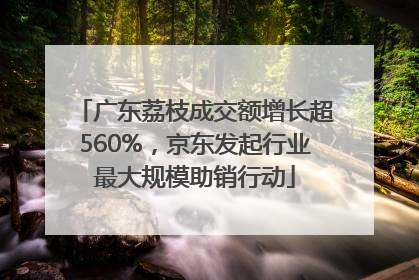 广东荔枝成交额增长超560%，京东发起行业最大规模助销行动