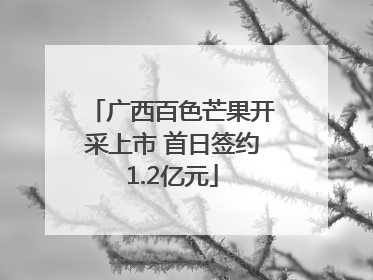 广西百色芒果开采上市 首日签约1.2亿元