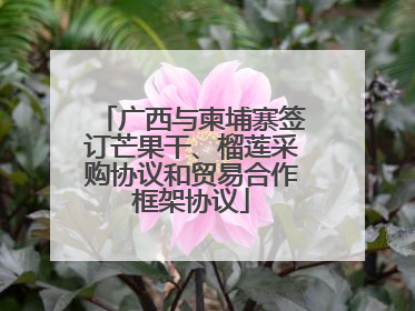 广西与柬埔寨签订芒果干、榴莲采购协议和贸易合作框架协议