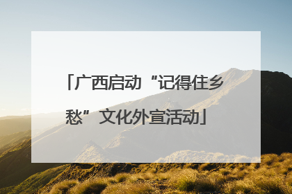广西启动“记得住乡愁”文化外宣活动