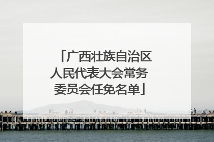 广西壮族自治区人民代表大会常务委员会任免名单