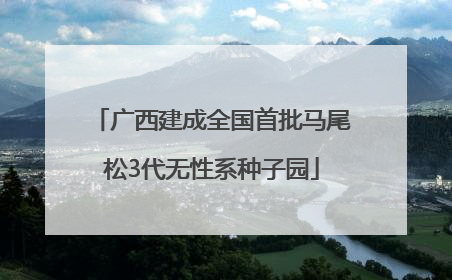 广西建成全国首批马尾松3代无性系种子园