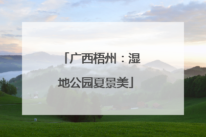 广西梧州：湿地公园夏景美