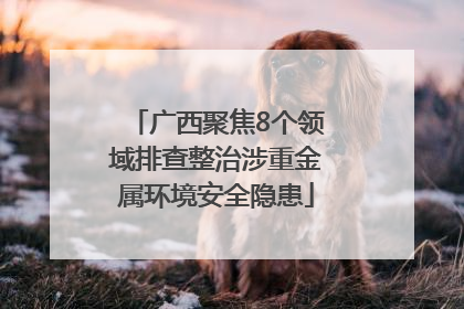 广西聚焦8个领域排查整治涉重金属环境安全隐患