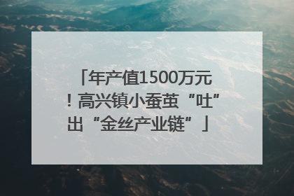 年产值1500万元！高兴镇小蚕茧“吐”出“金丝产业链”