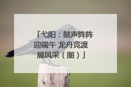 弋阳：鼓声阵阵迎端午 龙舟竞渡展风采（图）