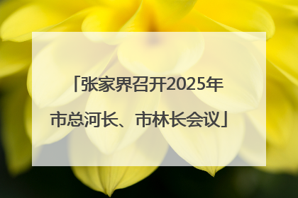 张家界召开2025年市总河长、市林长会议