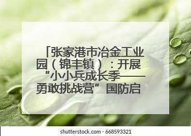 张家港市冶金工业园（锦丰镇）：开展“小小兵成长季——勇敢挑战营”国防启蒙教育活动