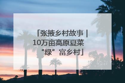 张掖乡村故事｜10万亩高原夏菜“绿”富乡村