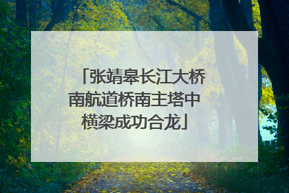 张靖皋长江大桥南航道桥南主塔中横梁成功合龙
