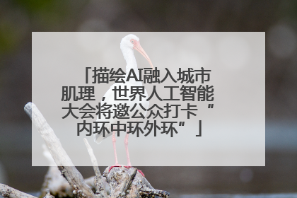 描绘AI融入城市肌理，世界人工智能大会将邀公众打卡“内环中环外环”