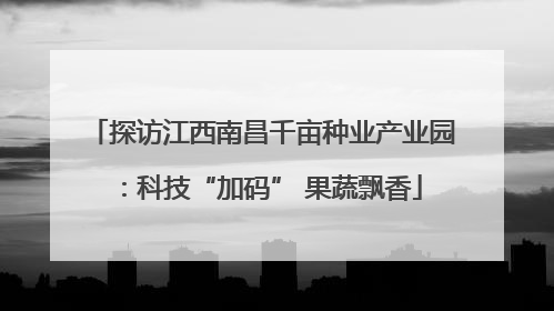 探访江西南昌千亩种业产业园：科技“加码” 果蔬飘香
