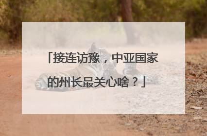 接连访豫，中亚国家的州长最关心啥？