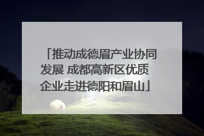 推动成德眉产业协同发展 成都高新区优质企业走进德阳和眉山